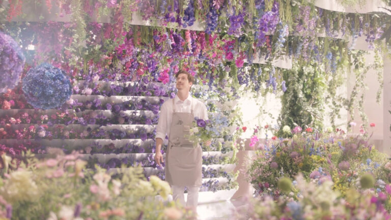 bloomeeの記事サムネイル