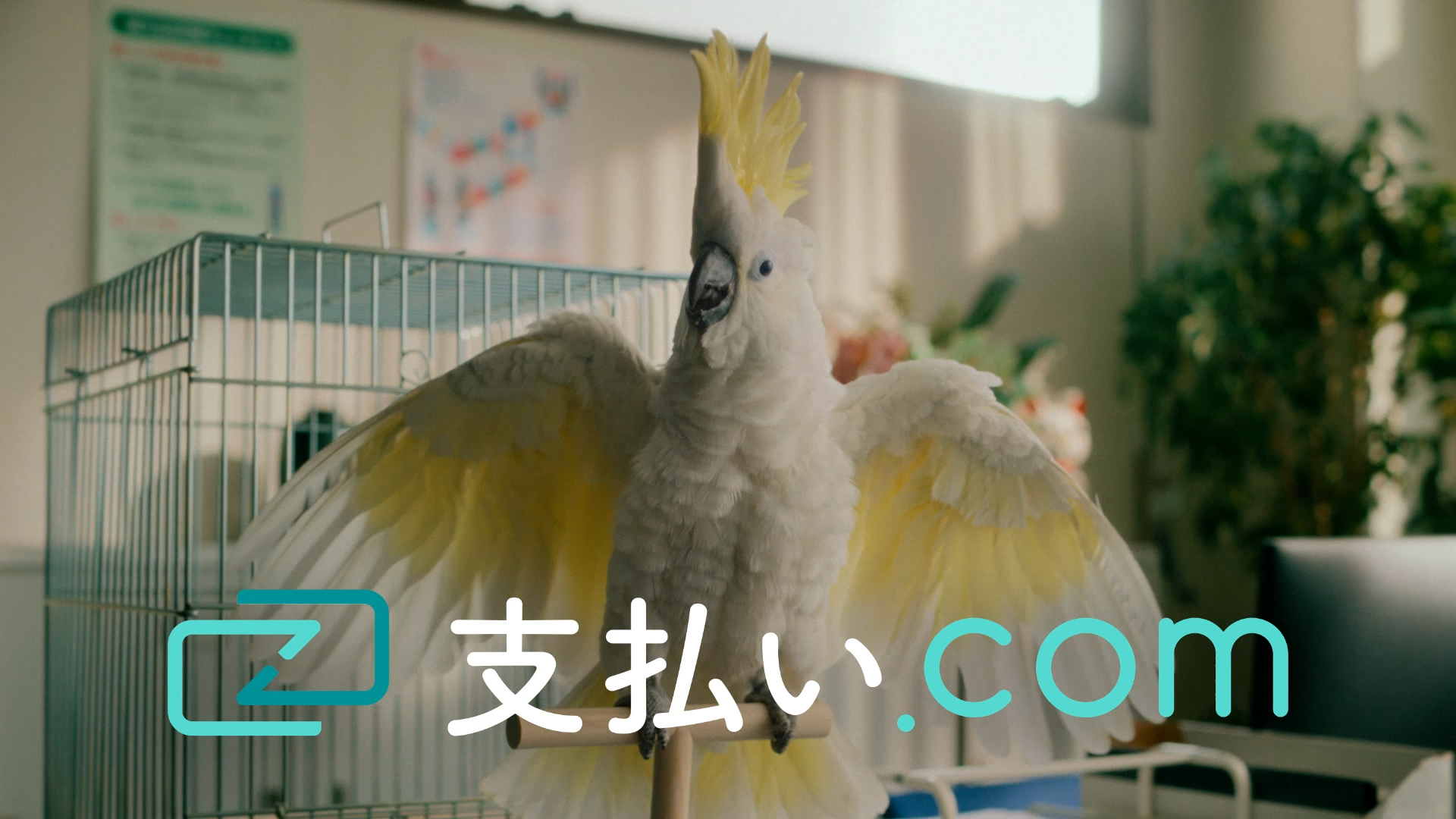 請求書カード払いサービス「支払い.com」のCMがTver、YouTubeで配信開始！の記事キービジュアル